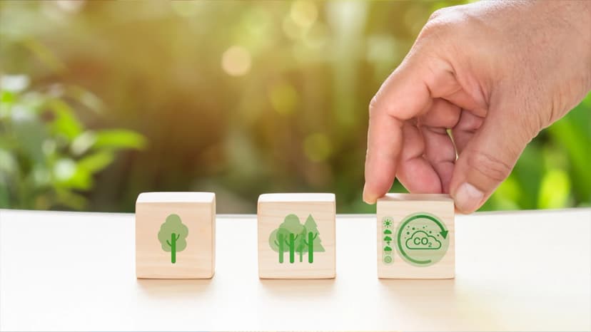 OFFERING ENVIRONMENTAL MANAGEMENT PLAN
